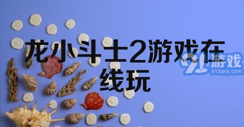 龙小斗士2游戏在线玩