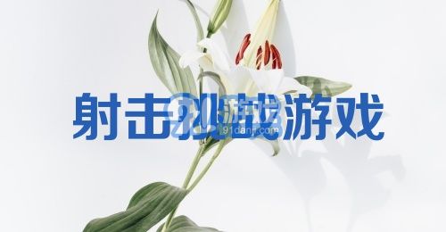 射击挑战游戏