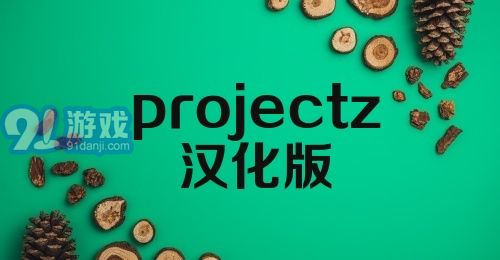 projectz汉化版