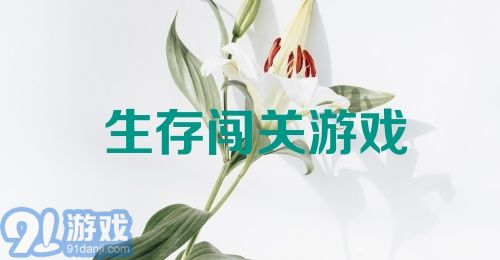 生存闯关游戏