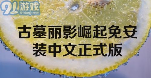 古墓丽影崛起免安装中文正式版