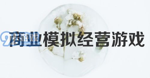 商业模拟经营游戏