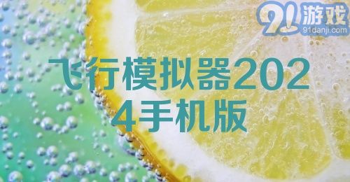 飞行模拟器2024手机版