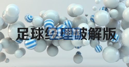 足球经理破解版