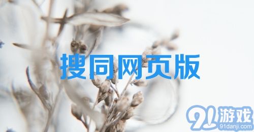 搜同网页版