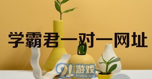 学霸君一对一网址