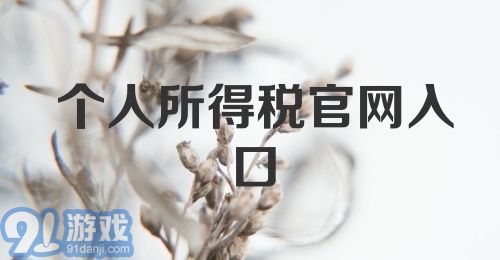 个人所得税官网入口