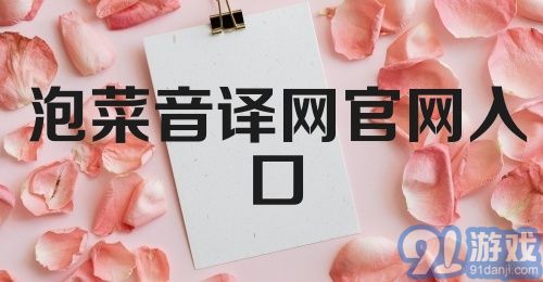 泡菜音译网官网入口