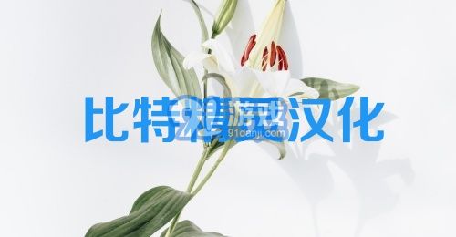 比特精灵汉化