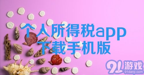 个人所得税app下载手机版