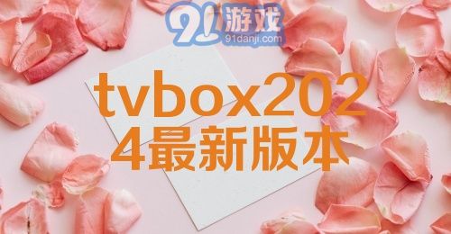 tvbox2024最新版本