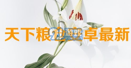 天下粮仓安卓最新