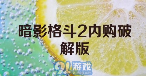 暗影格斗2内购破解版