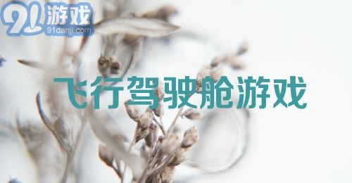 飞行驾驶舱游戏