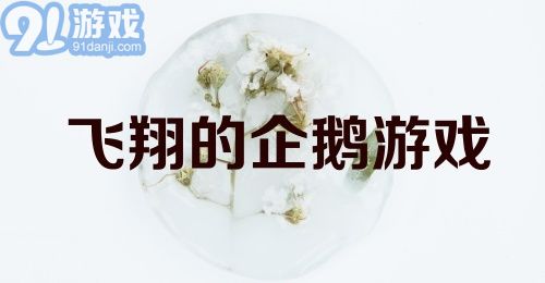 飞翔的企鹅游戏