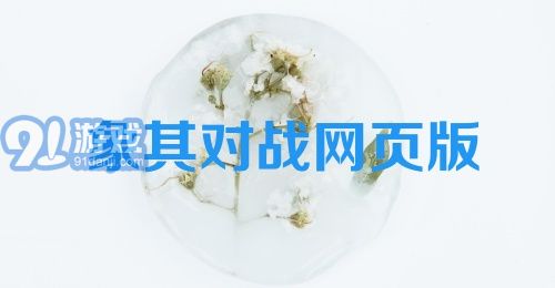 象棋对战网页版