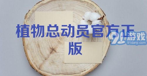 植物总动员官方正版