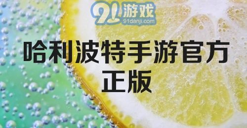 哈利波特手游官方正版