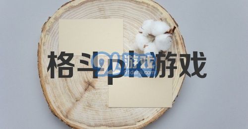 格斗pk游戏