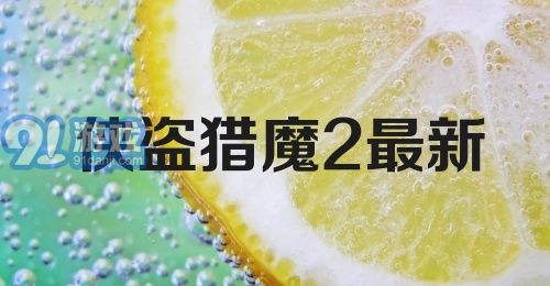 侠盗猎魔2最新