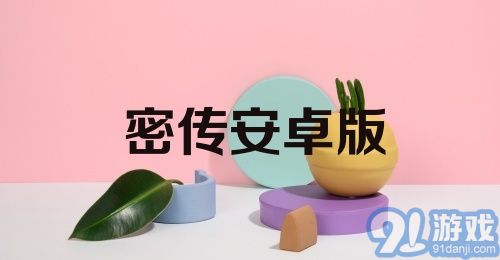 密传安卓版