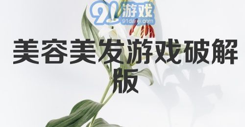 美容美发游戏破解版