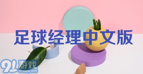 足球经理中文版