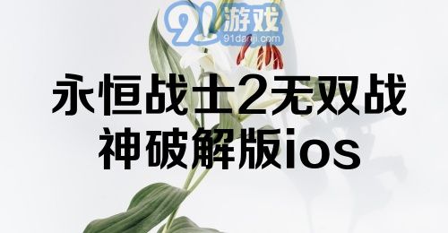 永恒战士2无双战神破解版ios