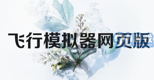 飞行模拟器网页版