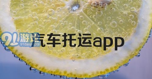 汽车托运app