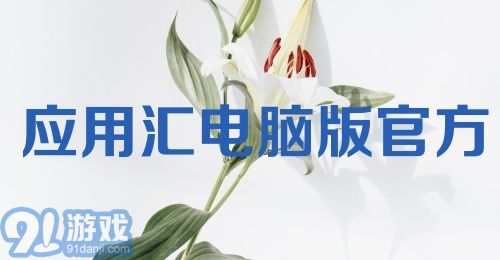 应用汇电脑版官方