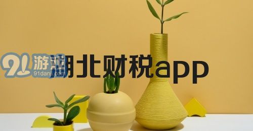 湖北财税app