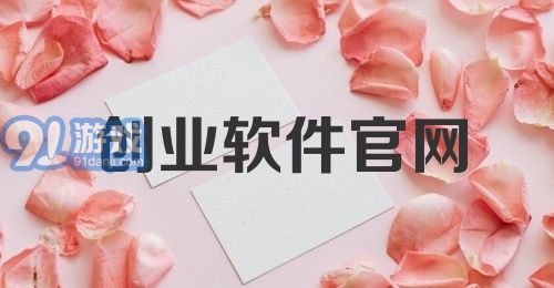 创业软件官网