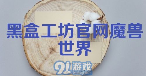 黑盒工坊官网魔兽世界