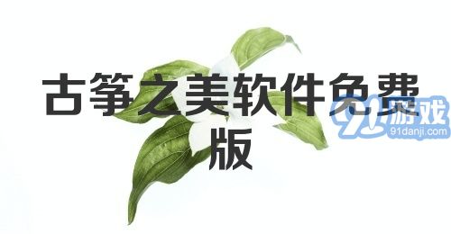 古筝之美软件免费版