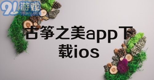 古筝之美app下载ios