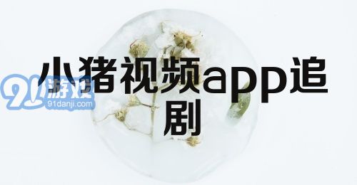 小猪视频app追剧