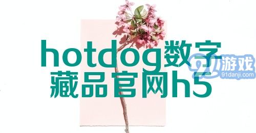 hotdog数字藏品官网h5