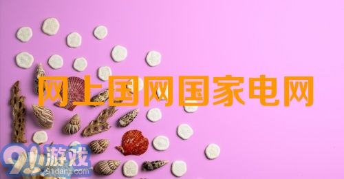 网上国网国家电网