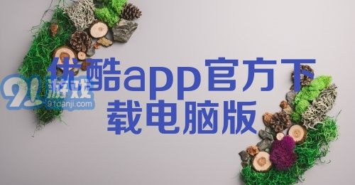 优酷app官方下载电脑版