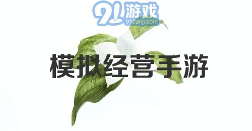 模拟经营手游