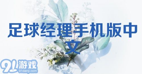 足球经理手机版中文