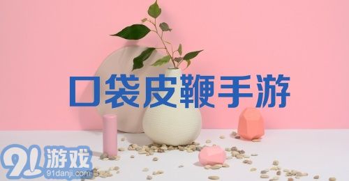 口袋皮鞭手游