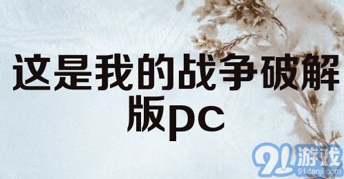 这是我的战争破解版pc