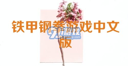 铁甲钢拳游戏中文版