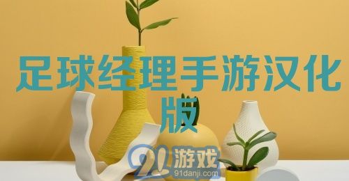 足球经理手游汉化版