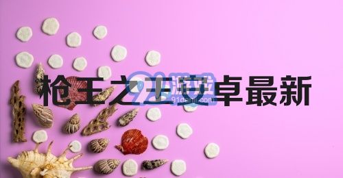 枪王之王安卓最新