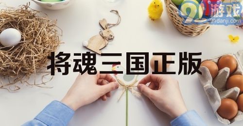 将魂三国正版