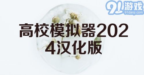 高校模拟器2024汉化版