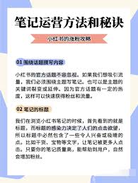 小红书涨粉技巧大公开，快速增加粉丝秘籍